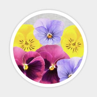 Pretty Pansy Flowers Magnet